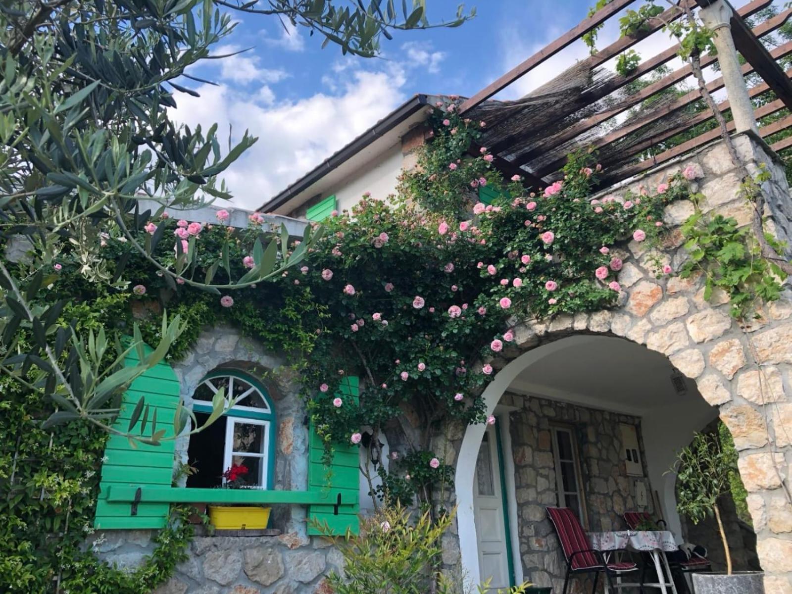 Lake House Puro Dodosi Zewnętrze zdjęcie
